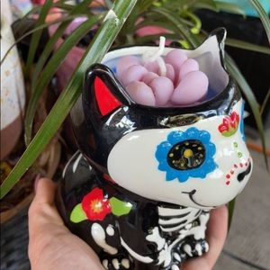 Dio los muertos cat and cactus melt